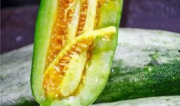 免费吃网红瓜的视频大全,一网打尽热门视频大全